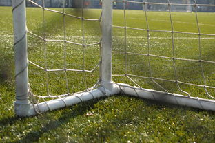 开云体育官网app-中国足球门将扑救区域热图，中国足球门将最差吗