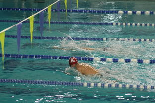 kaiyun网址-张雨霏自由泳赛段发力迅速，张雨霏自由泳实力