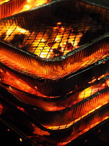 开云体育下载-森林狼主场布景焕然一新增强品牌识别度，森林狼logo