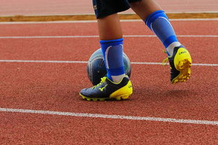 开云体育app入口-蛙泳对决奥地利游出新速度，奥运会蛙游泳决赛视频